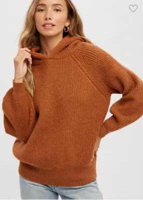 Camel hooded sweater