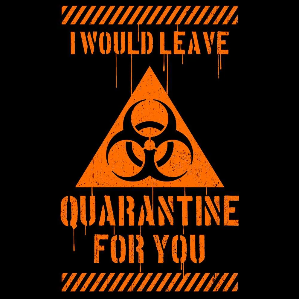 I Would Leave Quarantine For You Unisex Hoodies